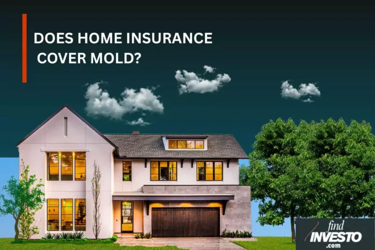 DOES HOME INSURANCE COVER MOLD? mortgage findinvesto
