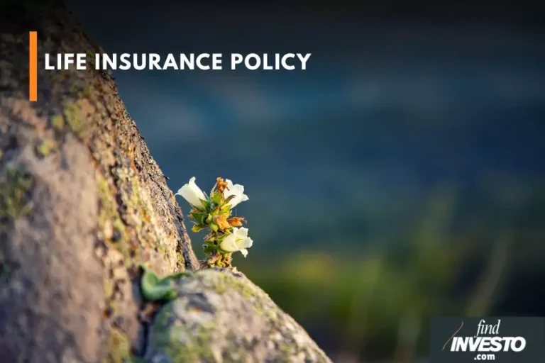 life insurance policy findinvesto life insurance insurance