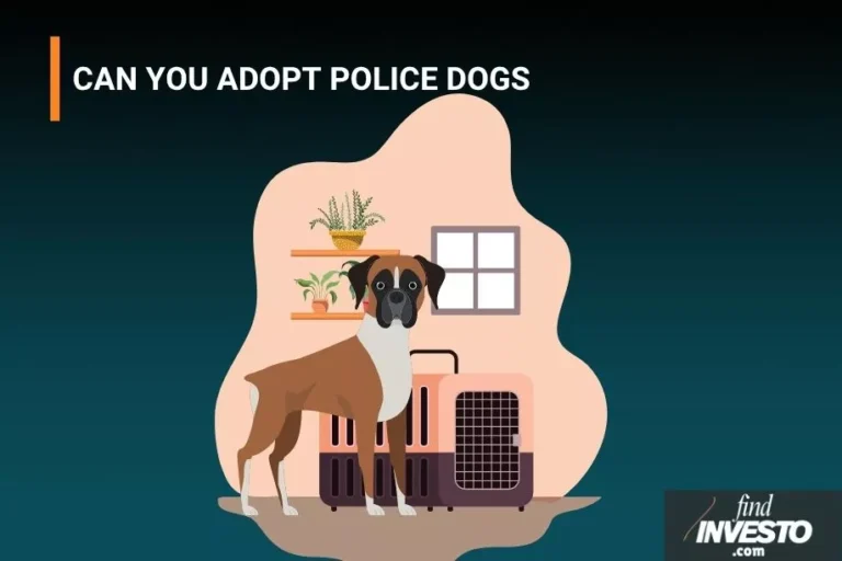 CAN YOU ADOPT POLICE DOGS