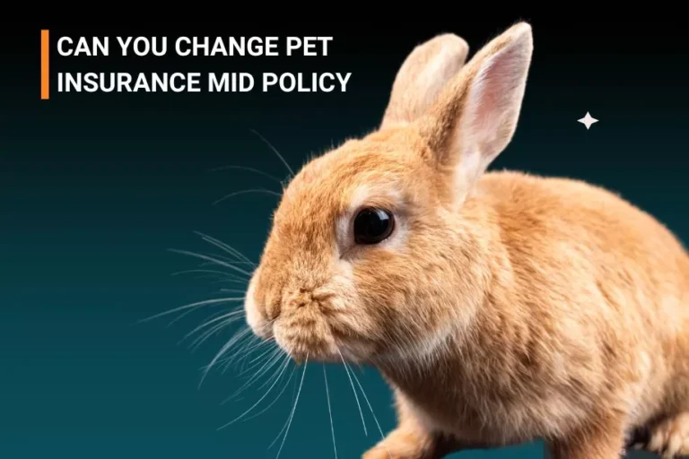 CAN YOU CHANGE PET INSURANCE MID POLICY
