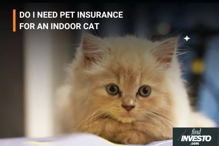 DO I NEED PET INSURANCE FOR AN INDOOR CAT