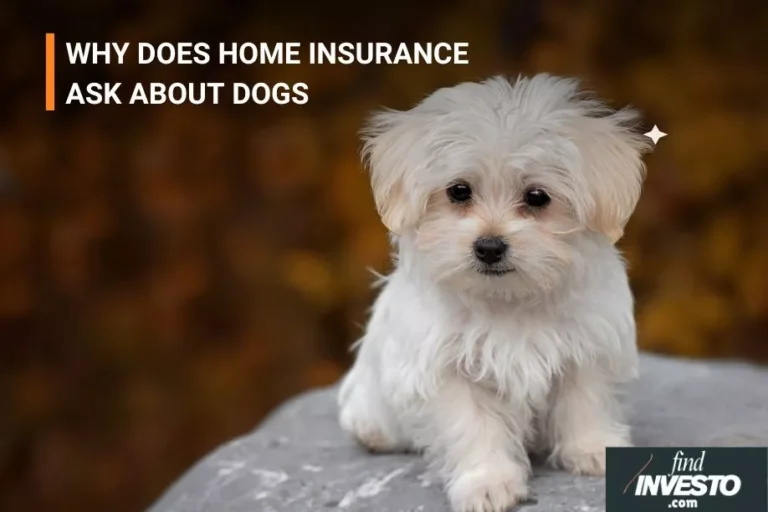 Why does home insurance ask about dogs