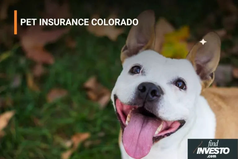 PET INSURANCE COLORADO