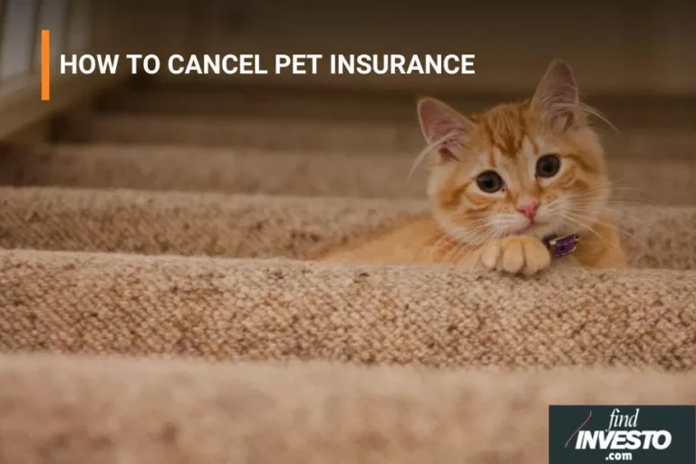 HOW TO CANCEL PET INSURANCE