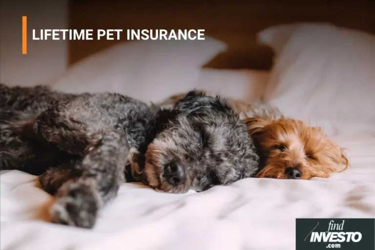 LIFETIME PET INSURANCE