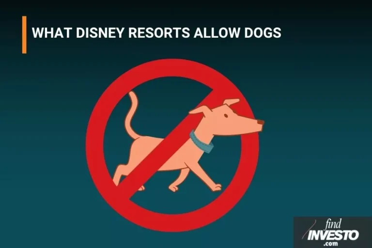 WHAT DISNEY RESORTS ALLOW DOGS
